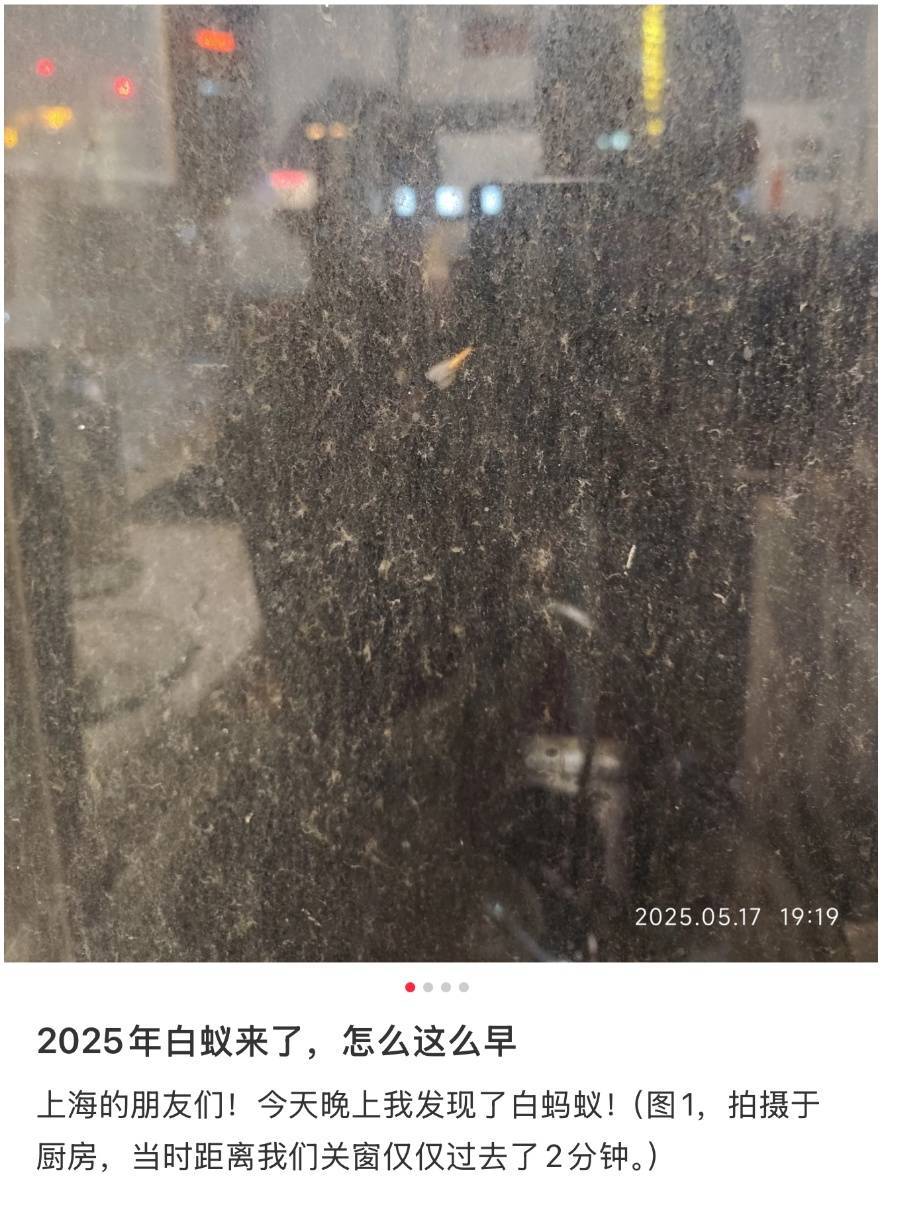 WNBA成绩_紧急提醒：瞬间爆发！上海市民崩溃：密密麻麻WNBA成绩，蠕蠕爬行...“梧桐区”已开始战斗，白蚁或提前分飞