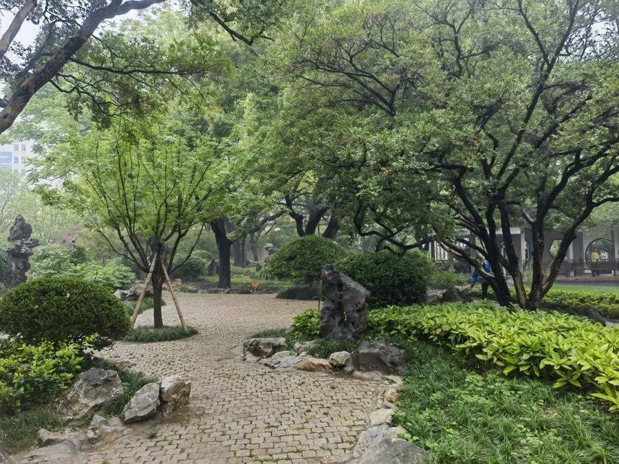 WNBA成绩_紧急提醒：瞬间爆发！上海市民崩溃：密密麻麻WNBA成绩，蠕蠕爬行...“梧桐区”已开始战斗，白蚁或提前分飞