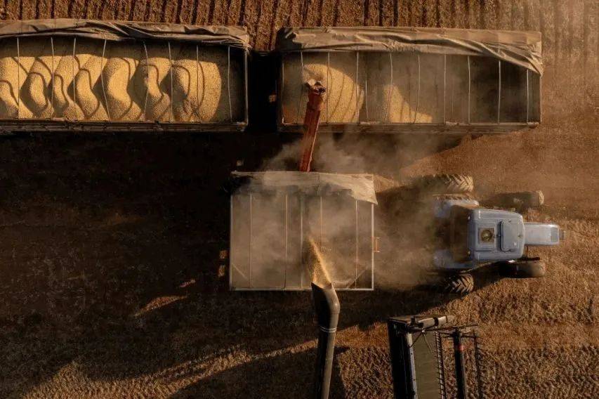 如何申请皇冠信用網_特朗普后悔晚了！中方仅用十几天如何申请皇冠信用網，踢美国出局，最大赢家是他