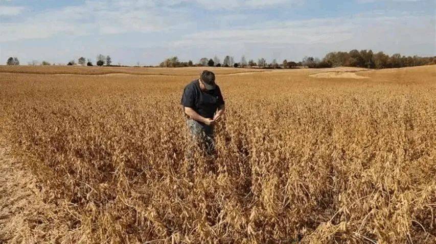 如何申请皇冠信用網_特朗普后悔晚了！中方仅用十几天如何申请皇冠信用網，踢美国出局，最大赢家是他