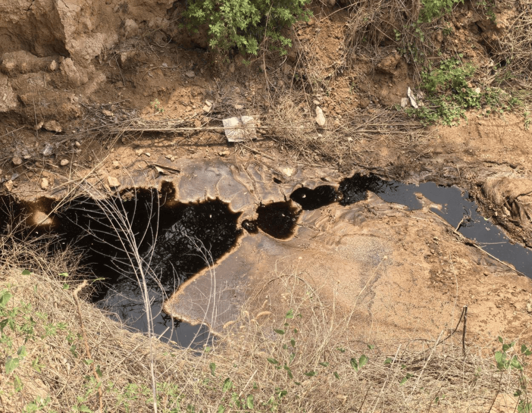 皇冠信用网怎么租_中央督察组点名临汾市、长治市