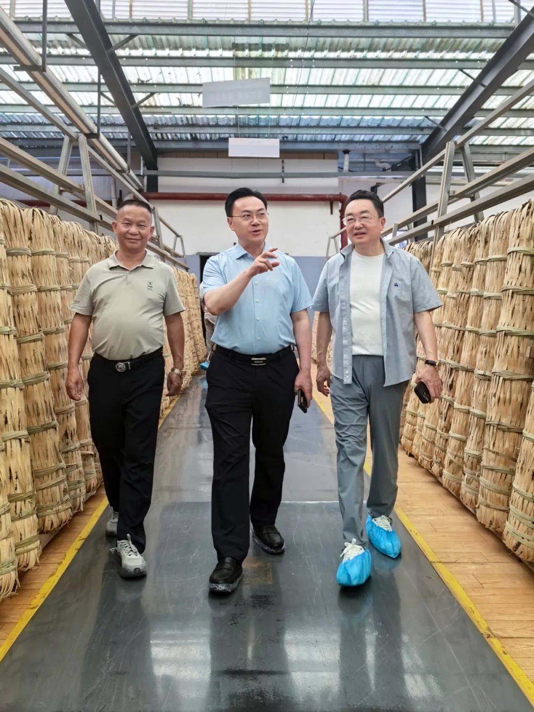 皇冠信用網登2_中国工程院院士刘仲华调研理想华莱皇冠信用網登2，共谋黑茶产业高质量发展新篇章