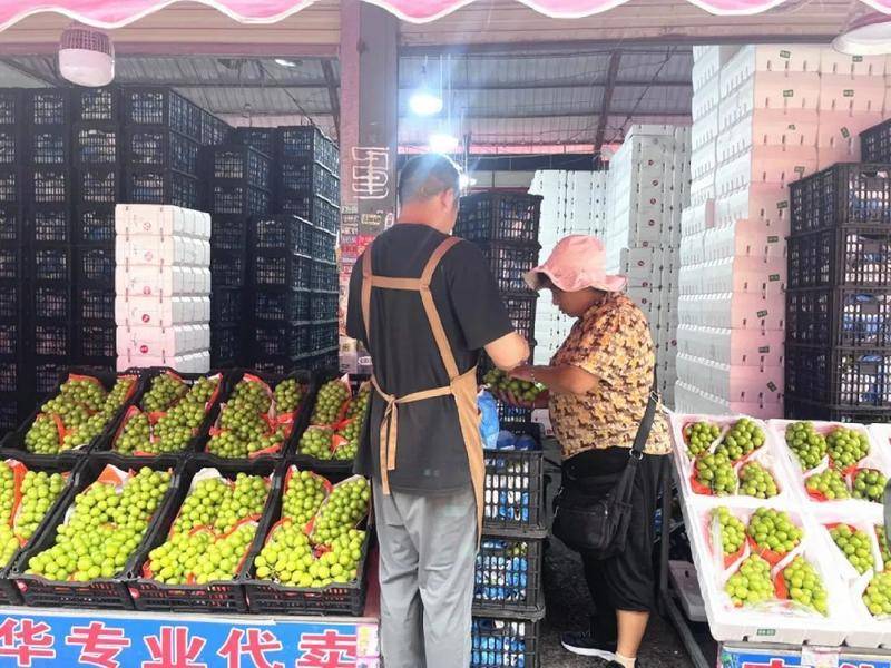 博托沙尼vs米耶尔库雷亚丘克_批发价低至2元/公斤！昆明这种水果大降价博托沙尼vs米耶尔库雷亚丘克，最贵曾卖到150元/公斤