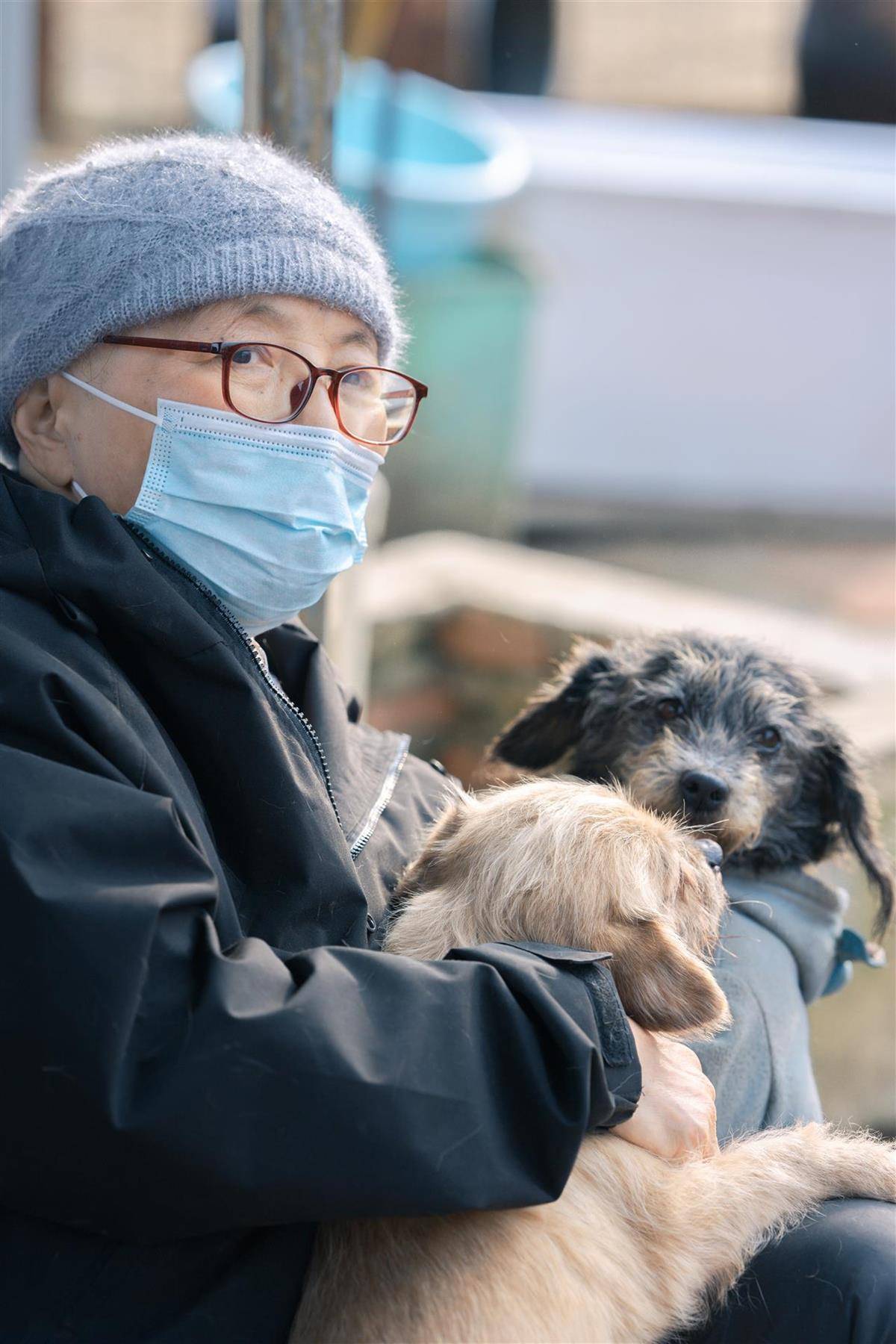 皇冠信用网_合肥卖房救助流浪狗的魏阿姨离世皇冠信用网，病中仍然惦记着基地的600只流浪狗，工人：不敢相信世上还有这样执着的人