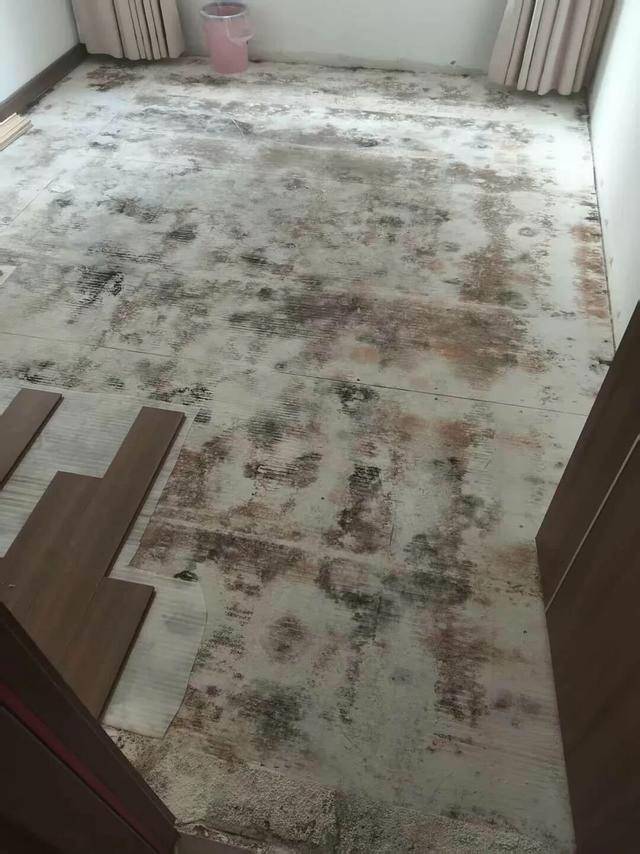 皇冠信用网平台
_河南郑州保利一小区超两百户精装房成“霉菌房” 皇冠信用网平台
,家里一股霉味